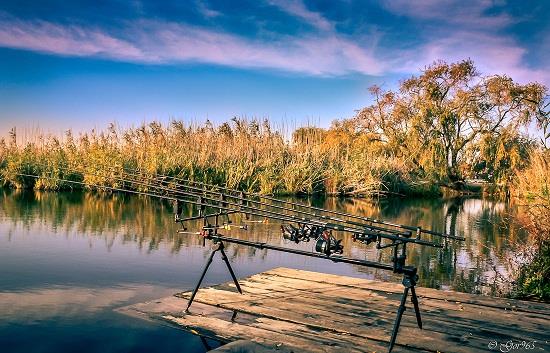 Concurs de fotografie. Posteaza cea mai reusita poza pe care o ai pe balta si castiga premii.